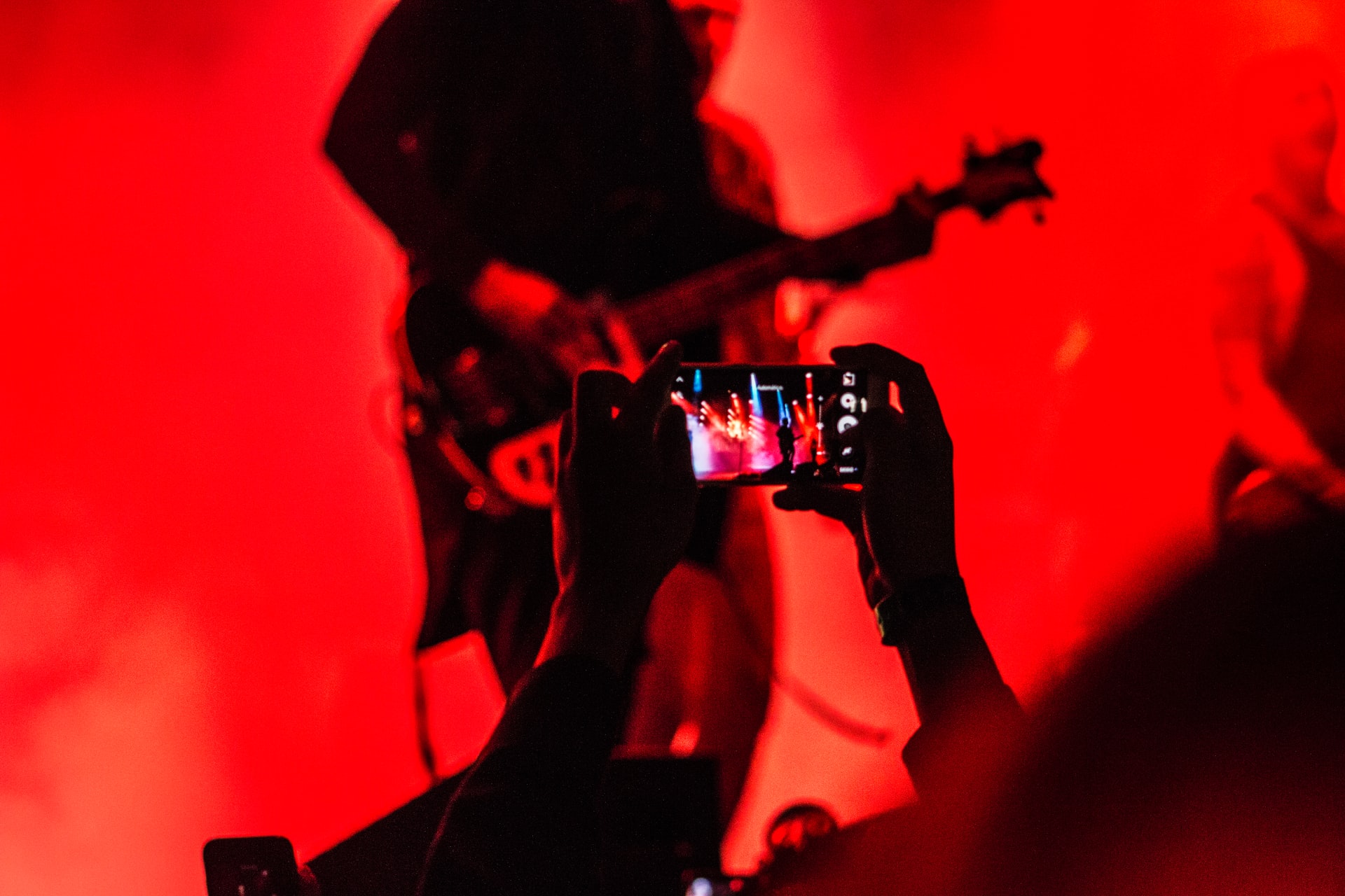 Live concert audience